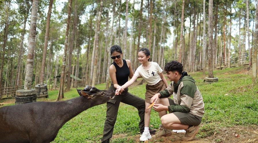 Gambar Panbil Nature Reserve